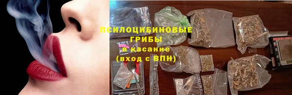 молекула духа Бородино