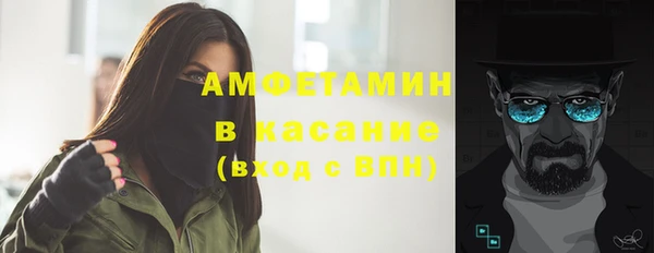 молекула духа Бородино