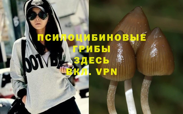 молекула духа Бородино
