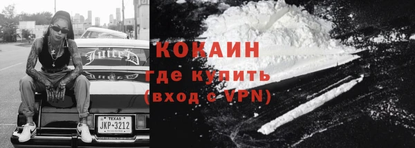 молекула духа Бородино